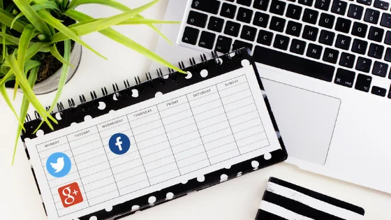 Timing your social media updates for effective promotion of blog