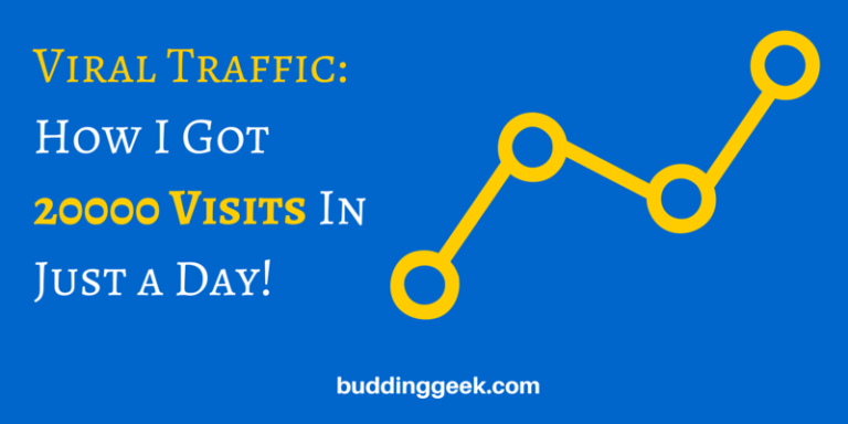 Viral Traffic - poster