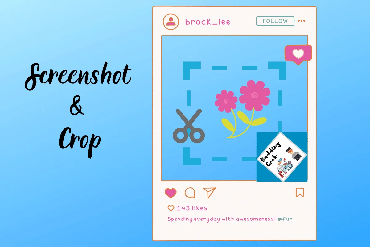 Screenshot & Crop technique - Instagram plagiarism