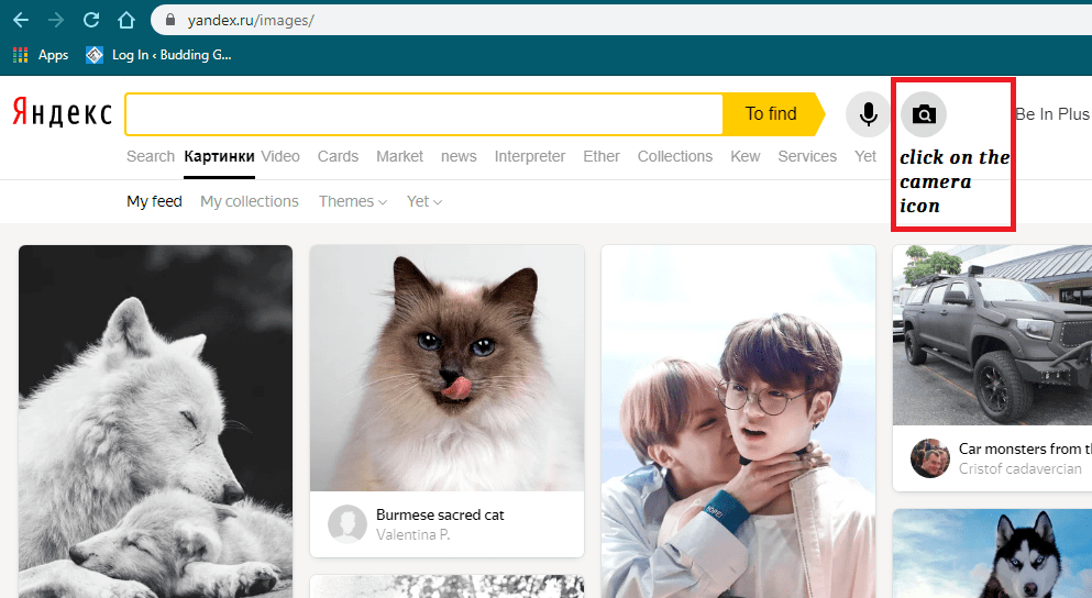 how to use yandex reverse image search