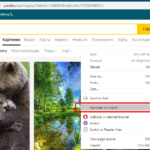 yandex reverse image search size filter