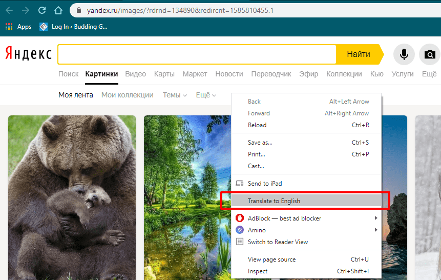 reverse image search extension yandex