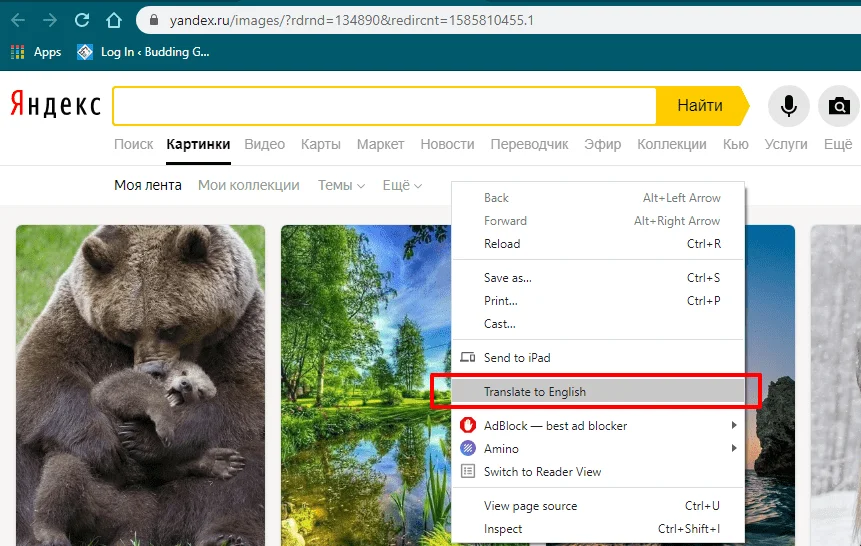 Translate yandex web page to English