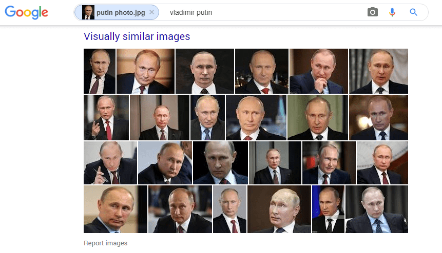 reverse image search face