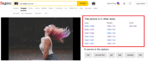 yandex image search reverse