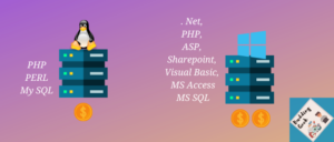 Linux Vs Windows hosting: Which one should you choose?