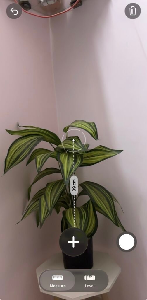 Measure app in action - Measuring height of an indoor plant