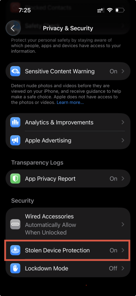 Stolen Device Protection in settings